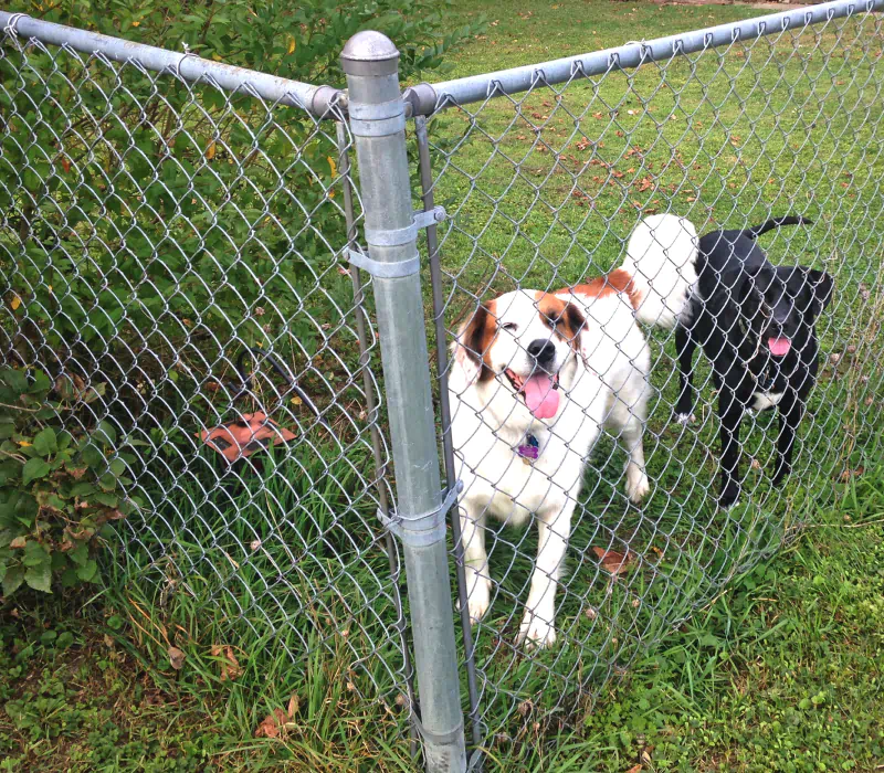 service chainlink fence installation work